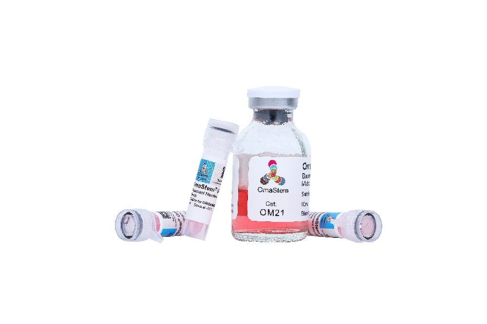 OmaStem Gel B